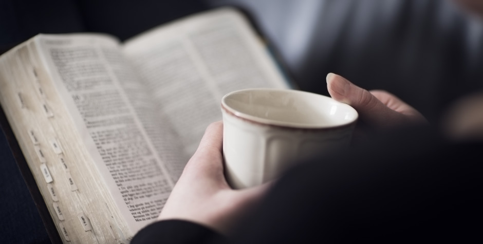 One Year Bible 2015