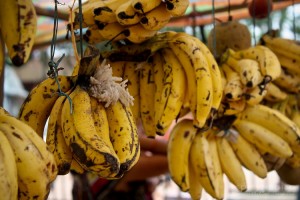 hanging-bananas