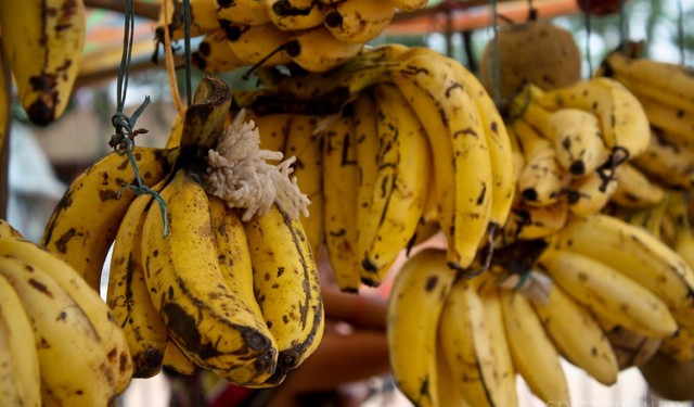 Live A Peeling Life